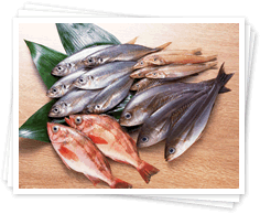 会社案内イメージ