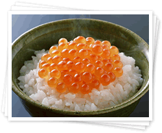 事業紹介イメージ