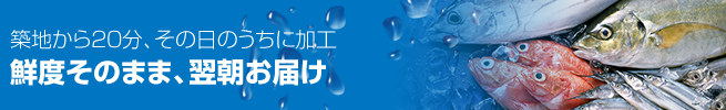 築地から20分、その日のうちに加工。鮮度そのまま、翌朝お届け